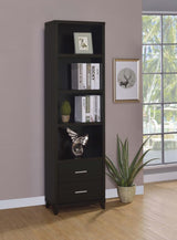 Lewes 2-Drawer Media Tower Cappuccino