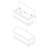 Pablo Rectangular Cedar Chest Warm Brown