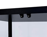 Delphinium 5-Shelf Glass Curio Cabinet Black And Clear