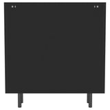 Dalia 2-door Accent Storage Cabinet with Shelving Black