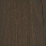 Brixton 2-door Entryway Shoe Storage Cabinets Smoked Oak