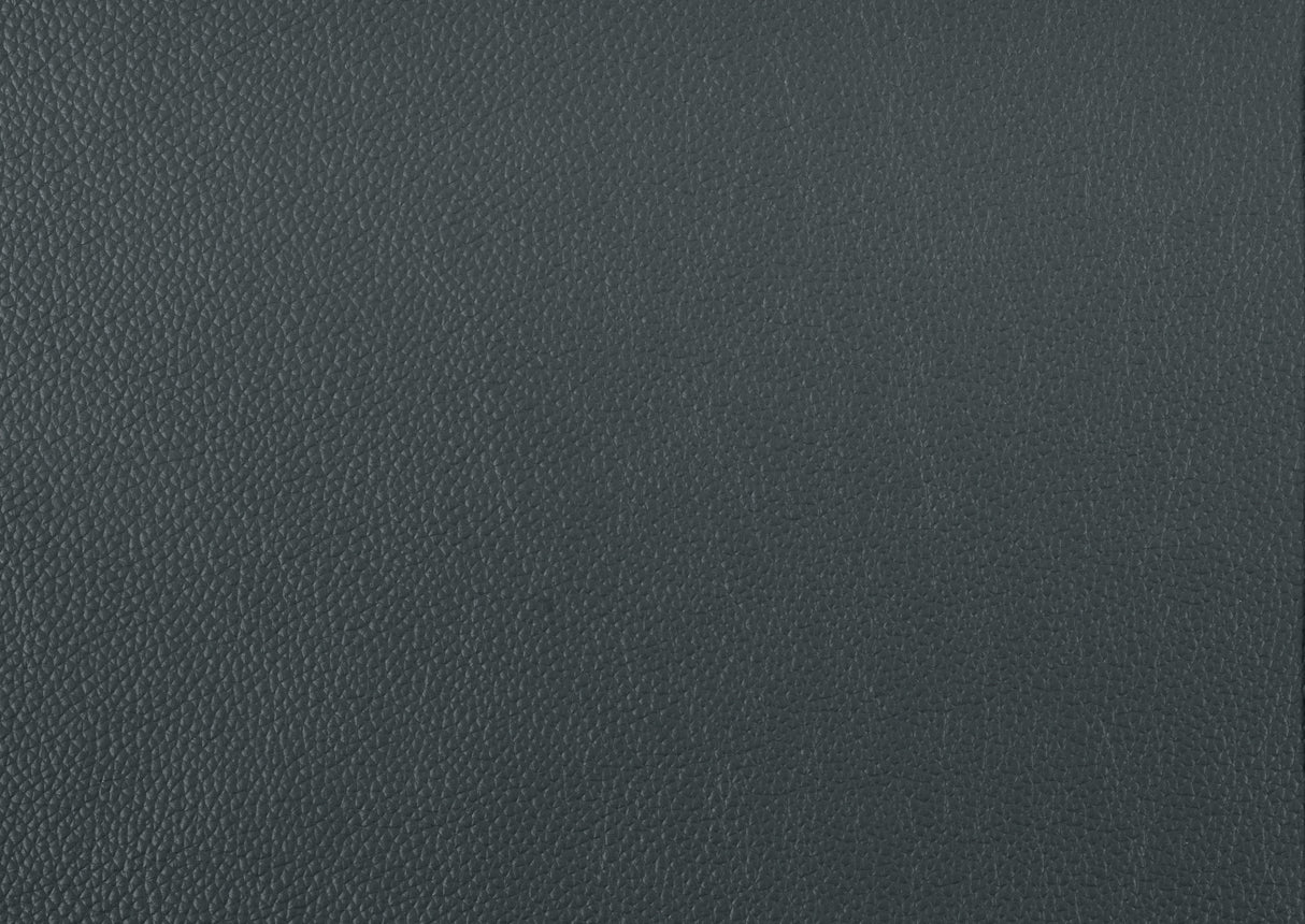 Mischa Dark Gray Top-Grain Leather Sofa