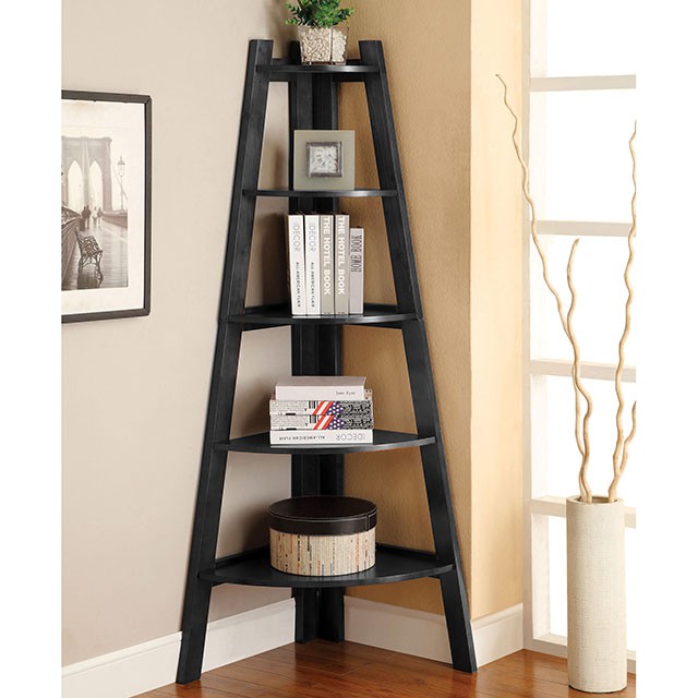 Lyss Ladder Shelf