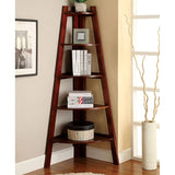 Lyss Ladder Shelf