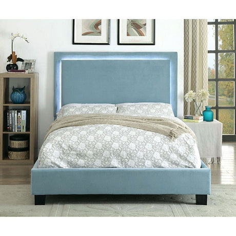 Erglow Cal.King Bed, Blue