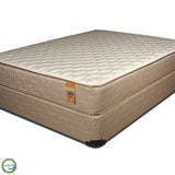 Shelton 12" Tight Top Mattress