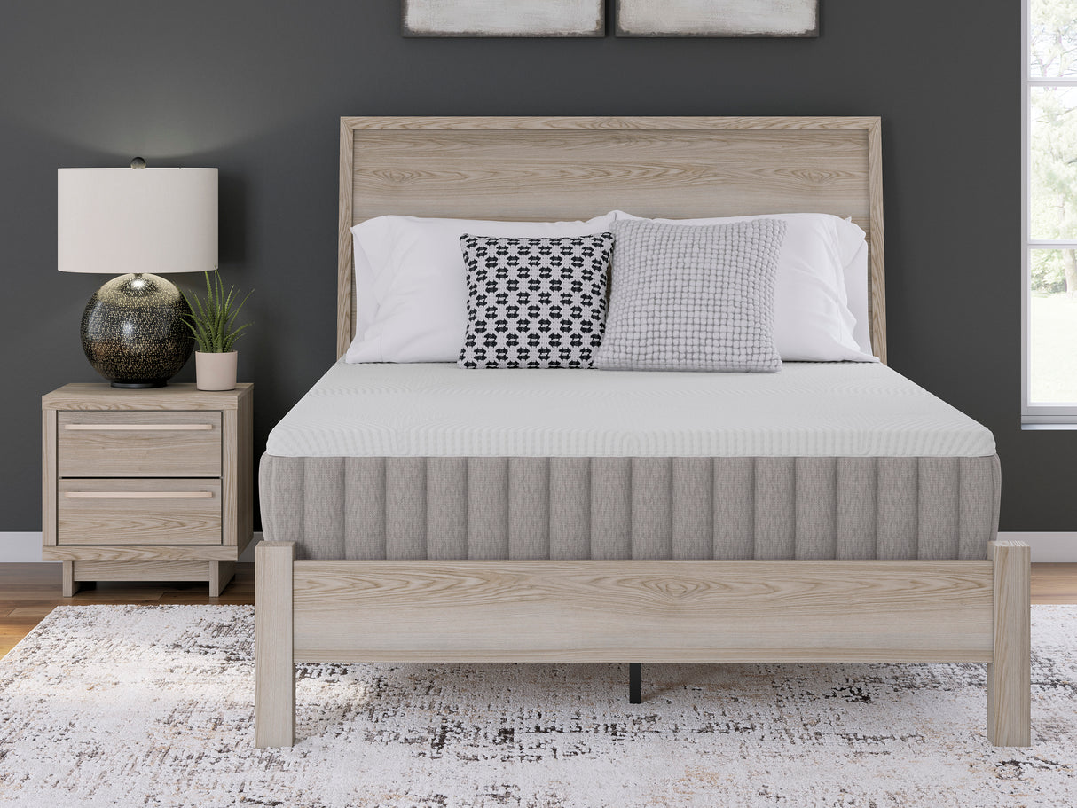 Terra Sleep Medium Queen Mattress