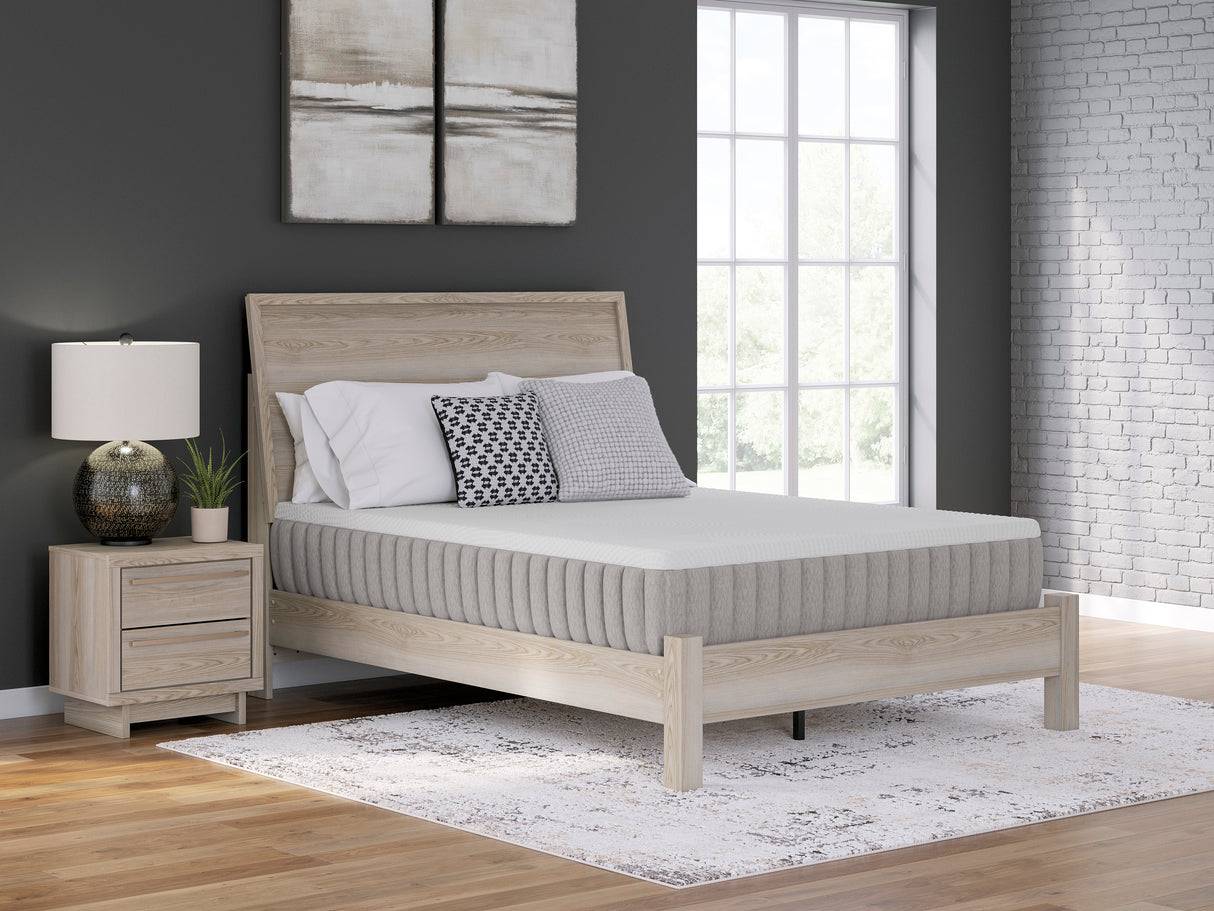 Terra Sleep Medium Queen Mattress