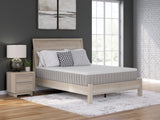 Terra Sleep Medium Queen Mattress