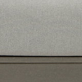 Visola Gray Lounge Chair With Cushion (Set Of 2)