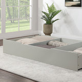 Lycorida Gray Bed