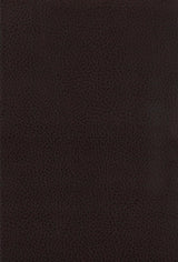 Dewey Walnut Counter Height Dining Room Set