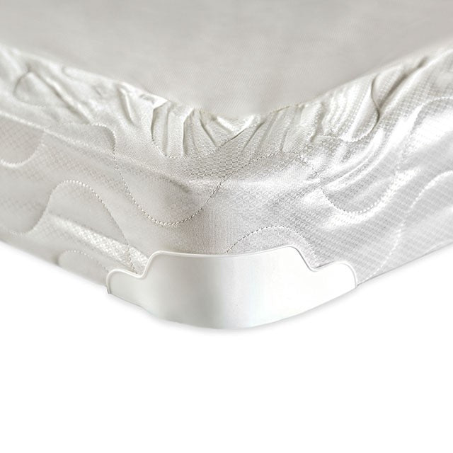 Bird Of Paradise Queen Size