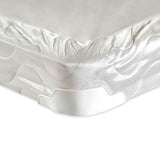 Bird Of Paradise Queen Size