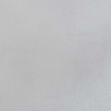 Valkyrie Side Chair (Set-2)