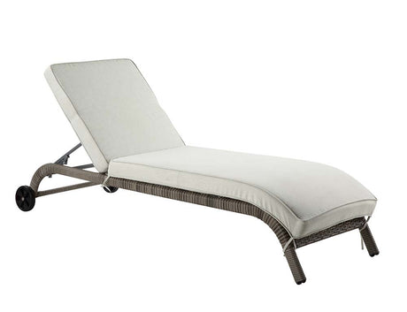 Salena Beige Fabric & Gray Finish Patio Lounge Chair