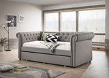 Ellie - Daybed - Gray